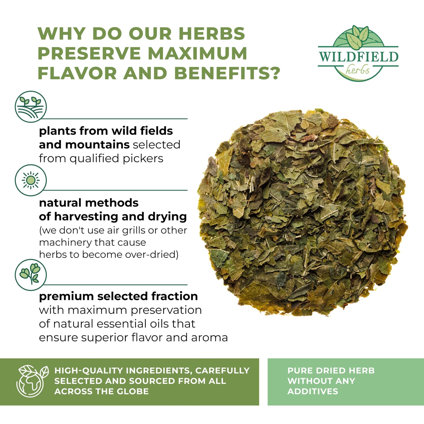 WILDFIELD HERBS 50 Bags White Mulberry Leaf Herbal Tea (Morus Alba) - 1.5g Bags, Natural Wellness, 50 Count
