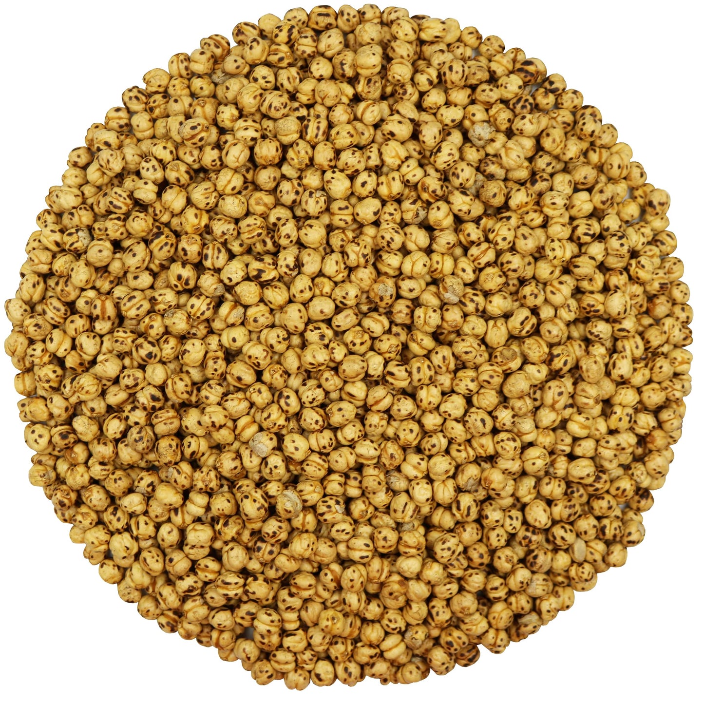 Yellow Double Roasted Dried Garbanzo Beans (Chickpeas) Gourmet Snacks 2 Pound Resealable Bag