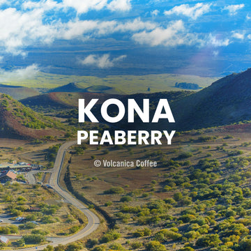 Kona Peaberry Coffee, 100% Pure, Gran Reserve, Ground, Fresh Roasted, 16-Ounce