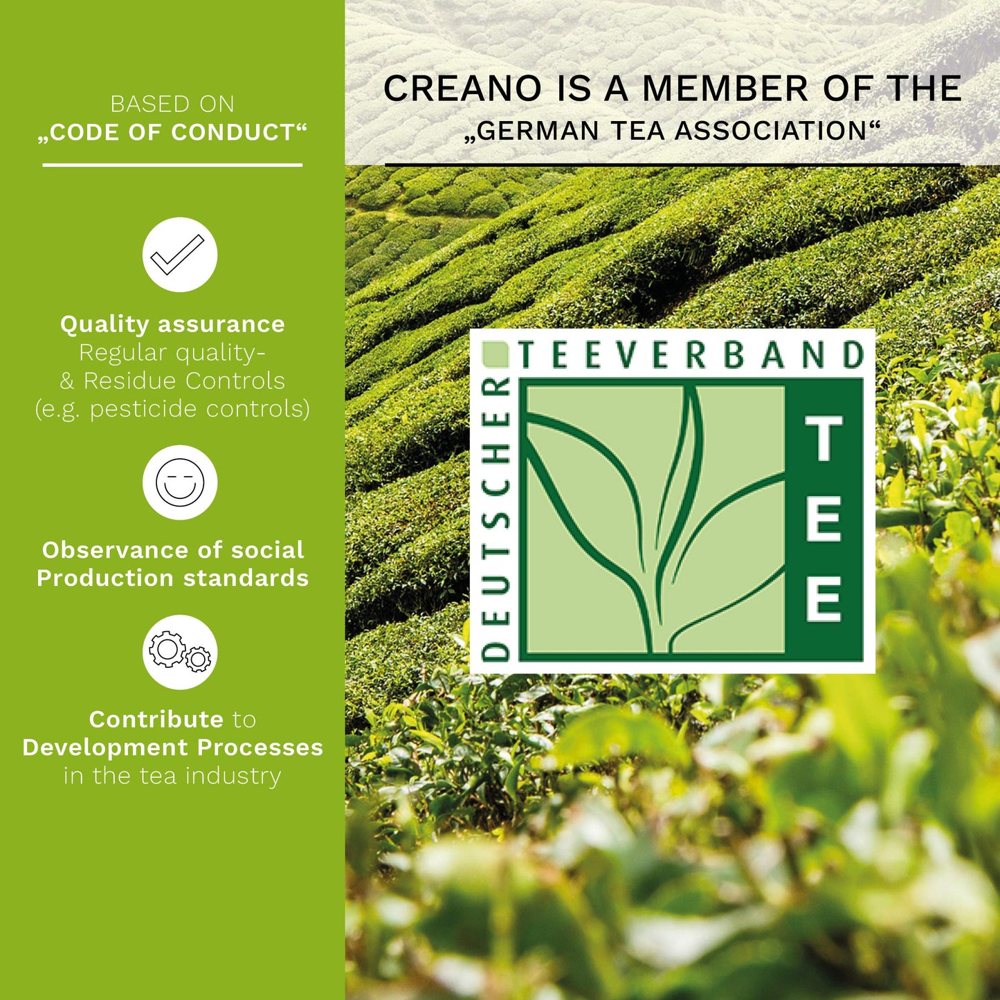 Creano Blooming Tea Flowers Set - 6 Fruity Flavoured Green Tea Roses - Model 049