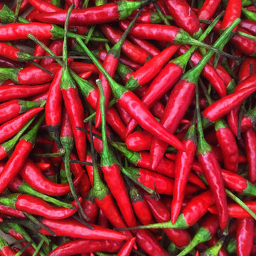 Kejora Fresh Red Thai Chili Peppers -1 Lb (16 Oz)