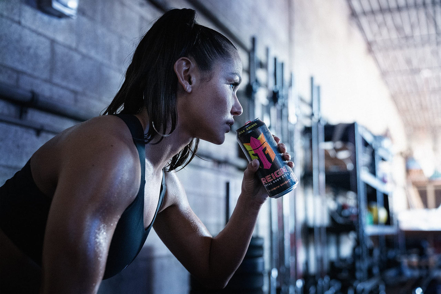 Reign Total Body Fuel, Reignbow Sherbet, Fitness & Performance Drink, 16 Fl Oz (Pack Of 12)