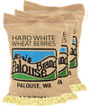 Hard White Wheat Berries | 15 Lbs | 3 Pack | Family Farmed In Washington State | Non-Gmo Project Verified | Kosher
