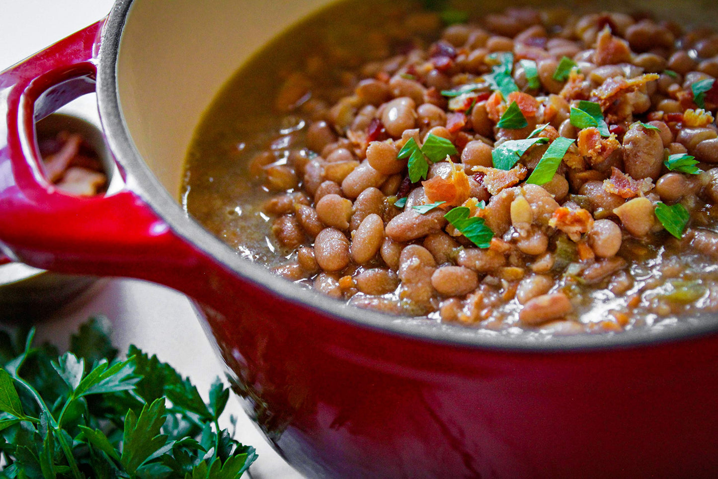 Camellia Brand Dried Pinto Beans, 1 Pound (Pack Of 6)