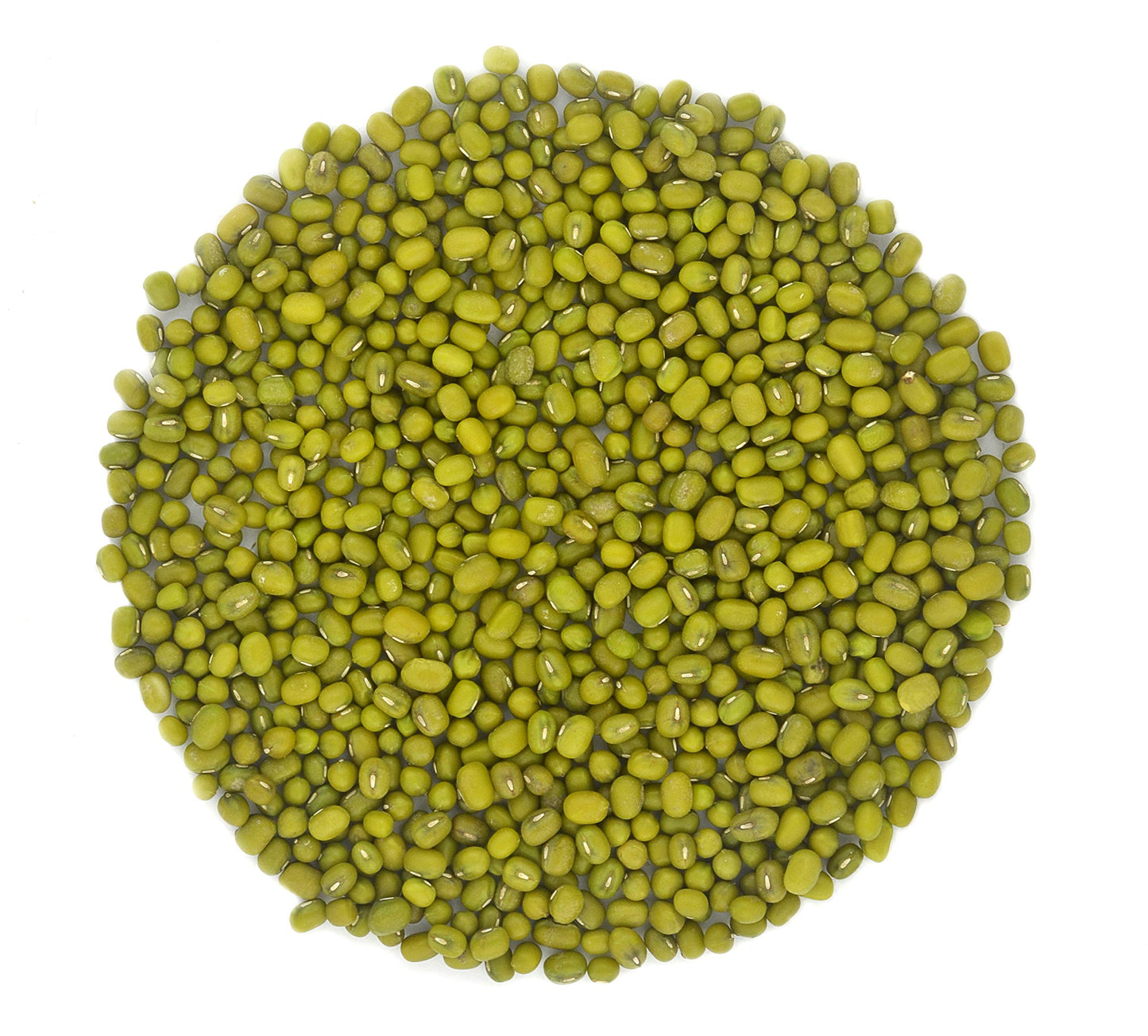 Whole dried Organic Mung Beans aka Green Gram Maash Moong Prewashed Clean Ready to Cook non GMO