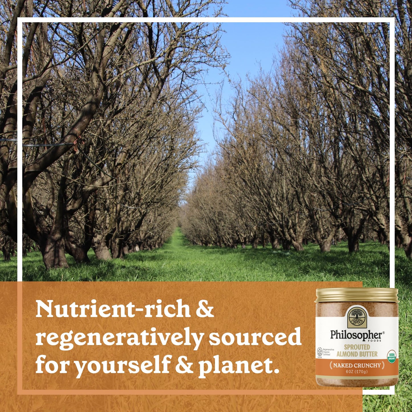 Philosopher Foods - Organic Naked Crunchy Sprouted Almond Butter - 6 Oz - Stone Ground Regenerative Organic Crunchy Almond Nut B