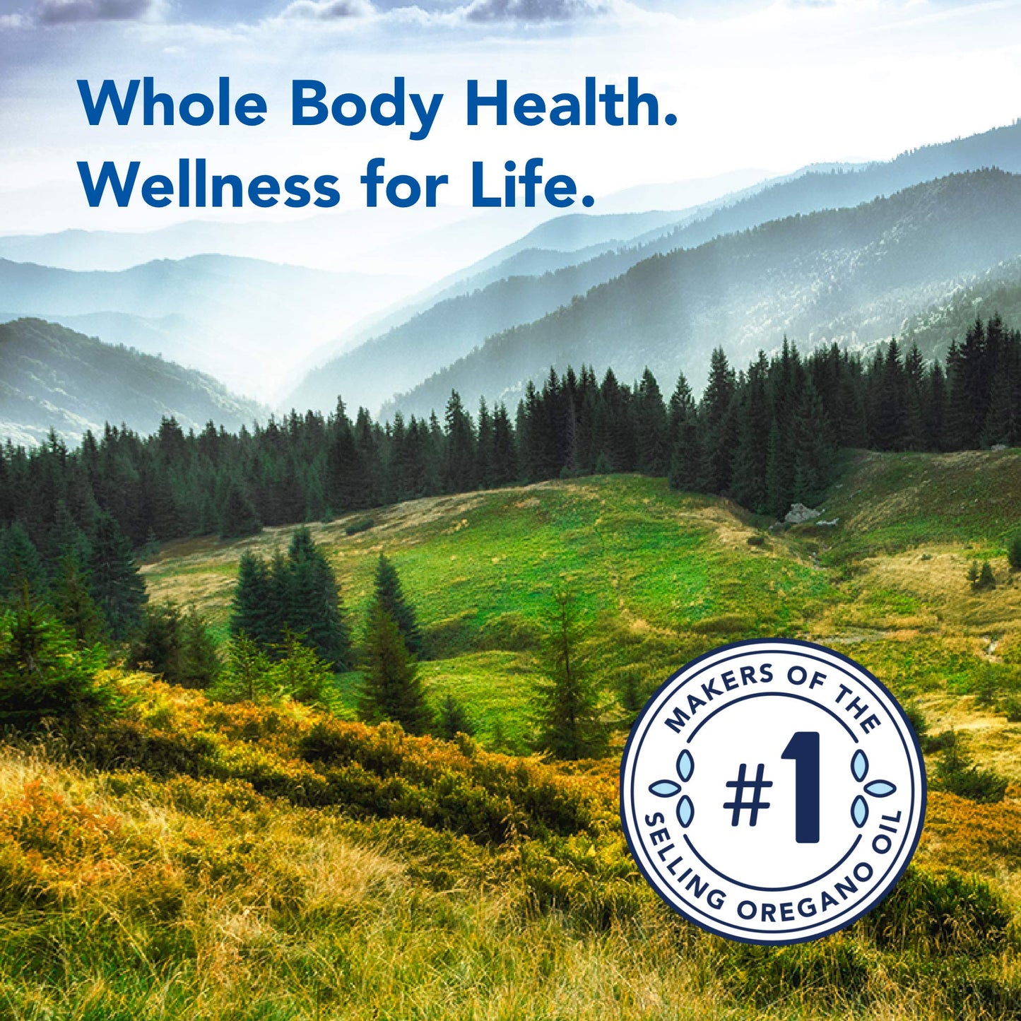 North American Herb & Spice Chag-O-Charge - 3.2 Oz. - Chaga Mushroom & Birch Bark Tea - Energy & Strength, Antioxidant - 45 Serv