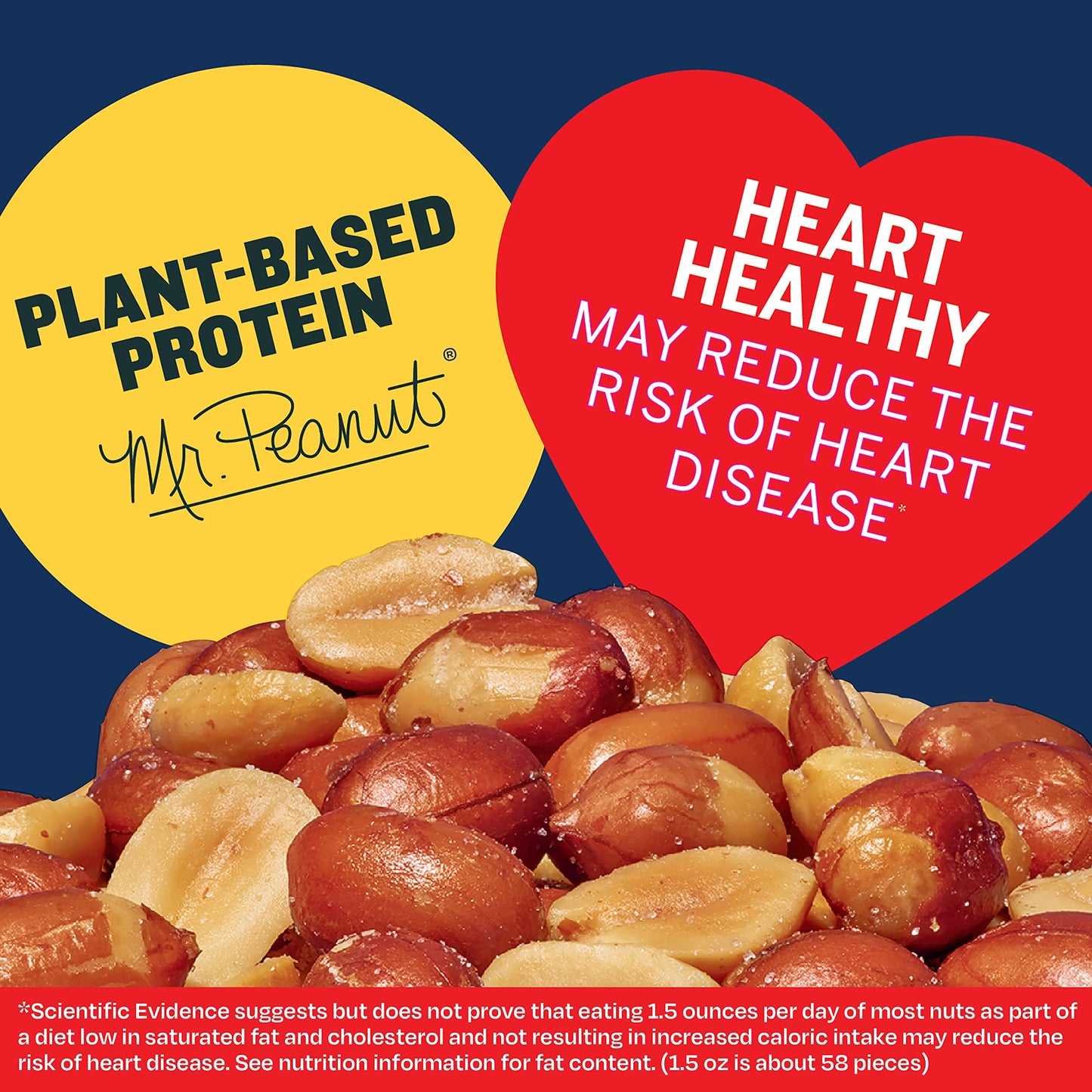 PLANTERS Roasted Salted Redskin Spanish Peanuts, Plant-Based Protein, 12.5oz Canister