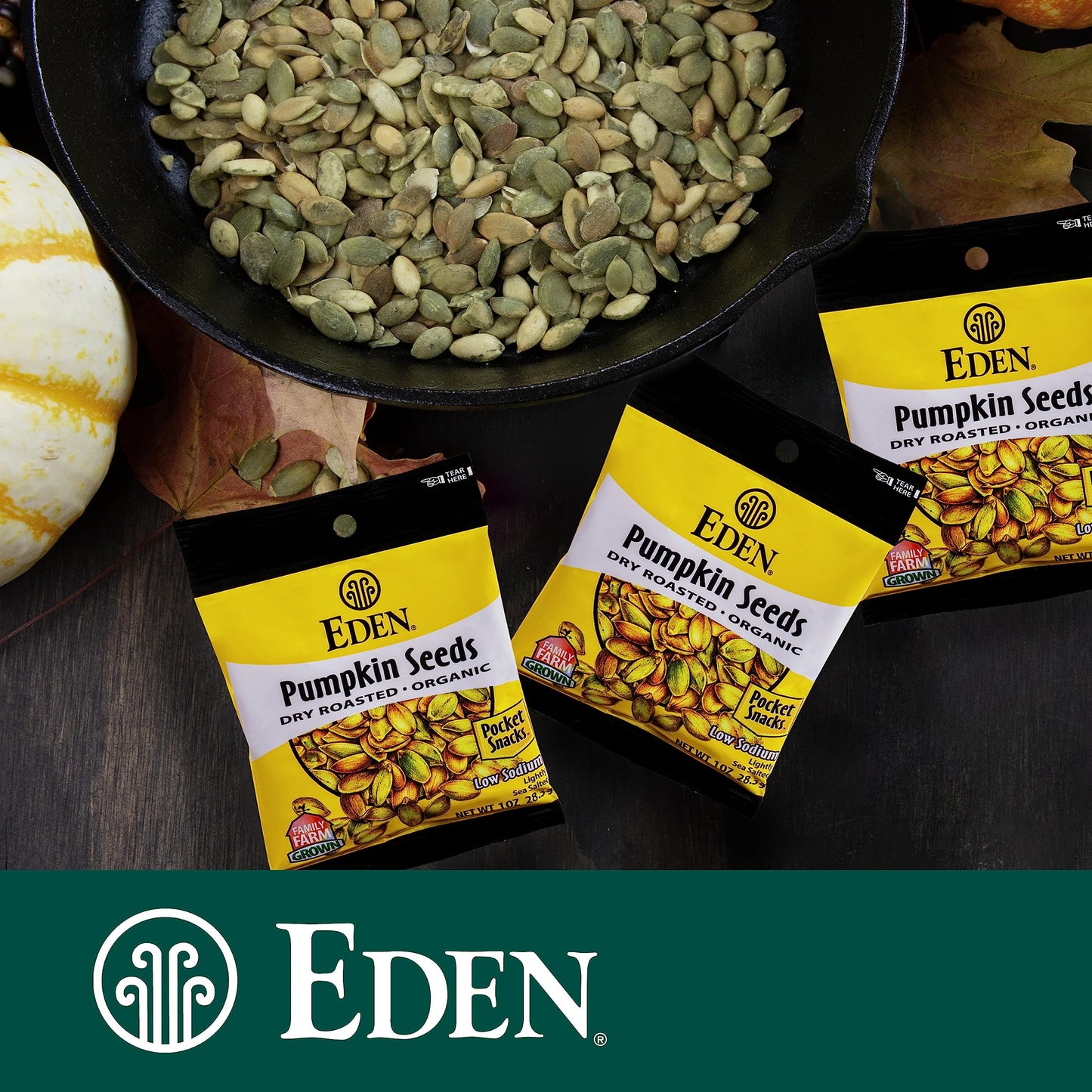 Eden Organic Pumpkin Seeds, Pocket Snacks, Dry Roasted, Lightly Salted, Hulled, Pepitas, 1 Oz (24-Pack Case)