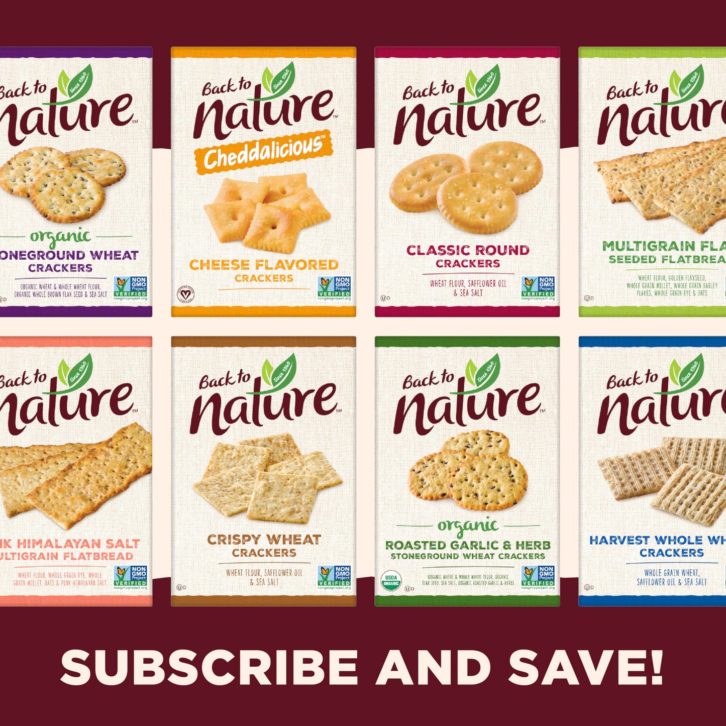Back to Nature Classic Round Crackers - Dairy Free, Non-GMO, Made with Wheat Flour & Sea Salt, Delicious & Quality Snacks, 8.5 O