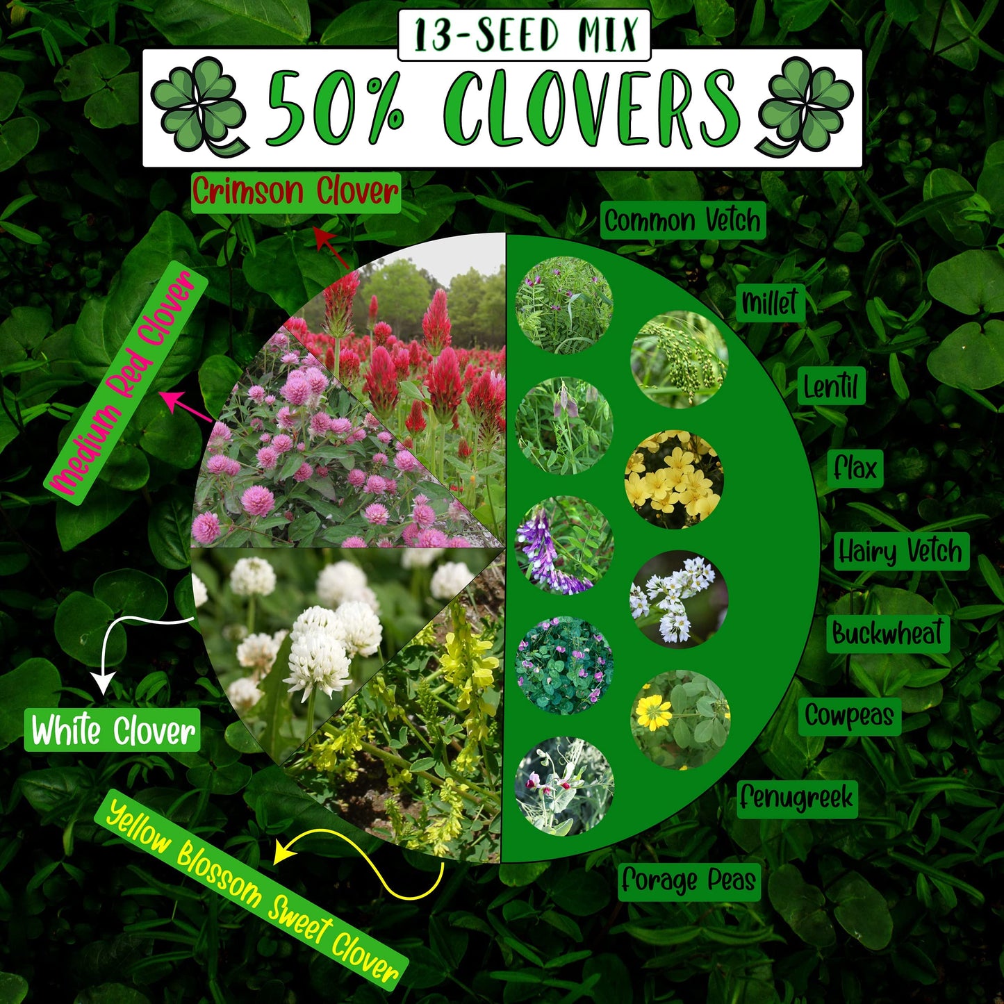 No-Till Cover Crop 13-Seed Mix: 50% Clovers Plus Fenugreek, Vetch, Flax, Cowpeas, Buckwheat, Forage Peas, Millet, Lentils (5-lb.