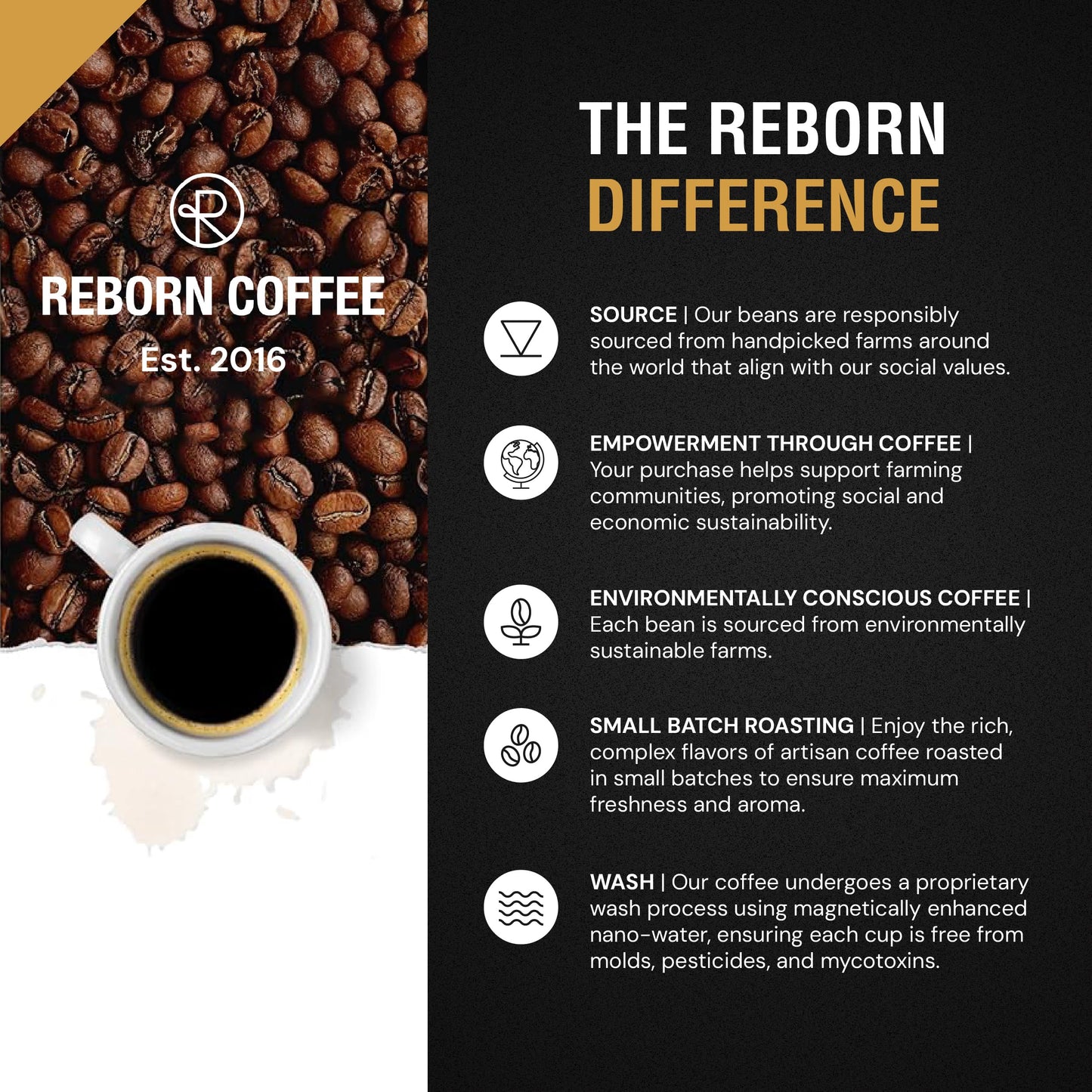 Reborn Coffee Specialty Whole Bean Coffee - Guatemala Huehuetenango - Medium Roast, Single Origin, 100% Arabica Beans - Bright A