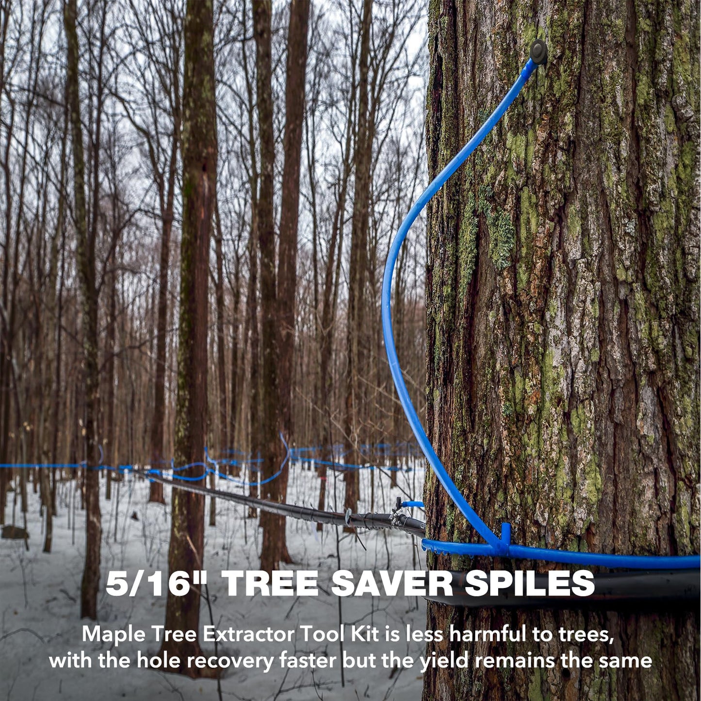 LIIZOUSUDA 60 Pieces Black Maple Sap Spiles, 5/16 Tree Taps for Maple Syrup, Tapping Kit for Beginners and Experts