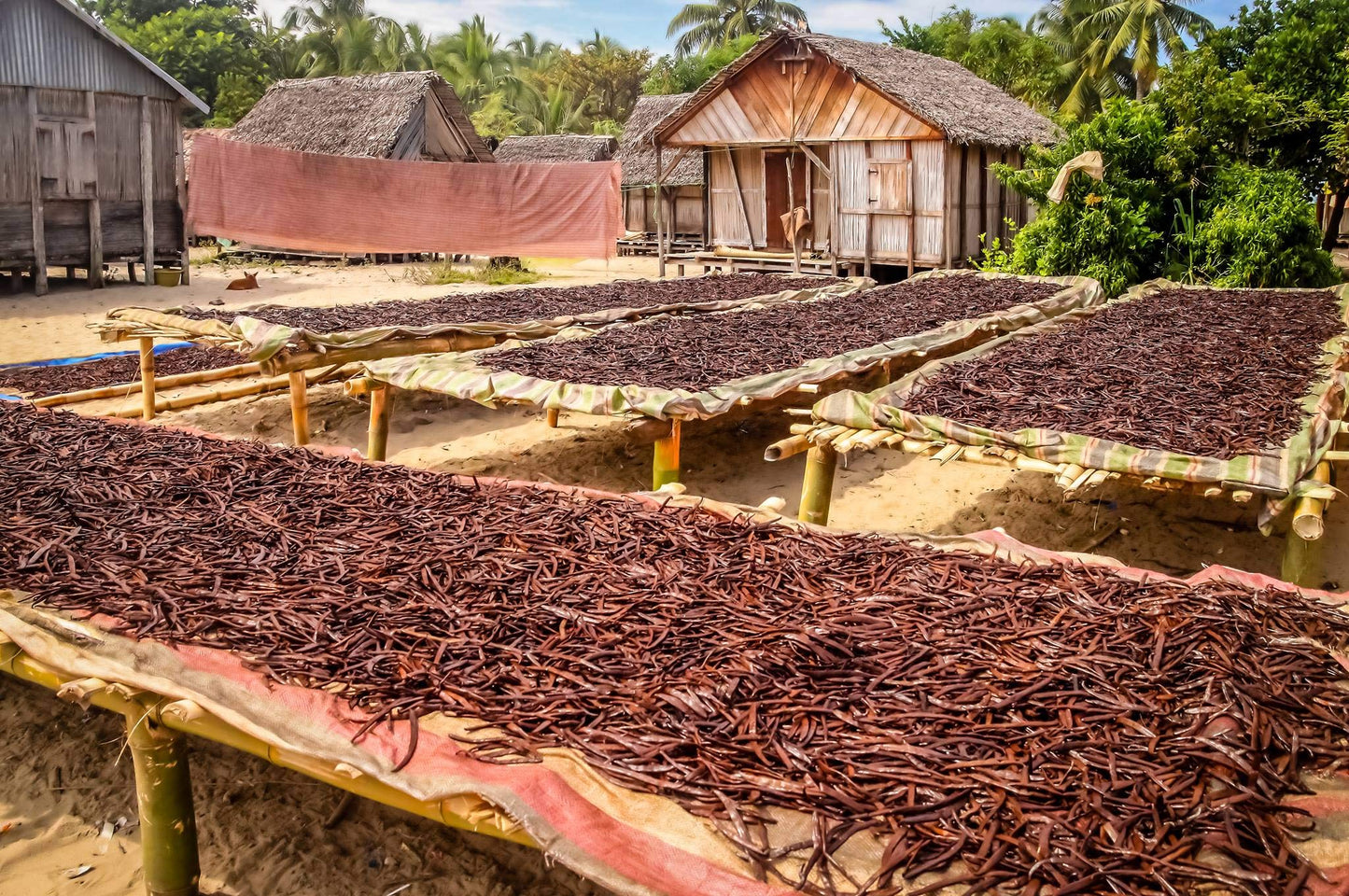 5 Organic Madagascar Vanilla Beans. Whole Grade A Vanilla Pods for Vanilla Extract and Baking