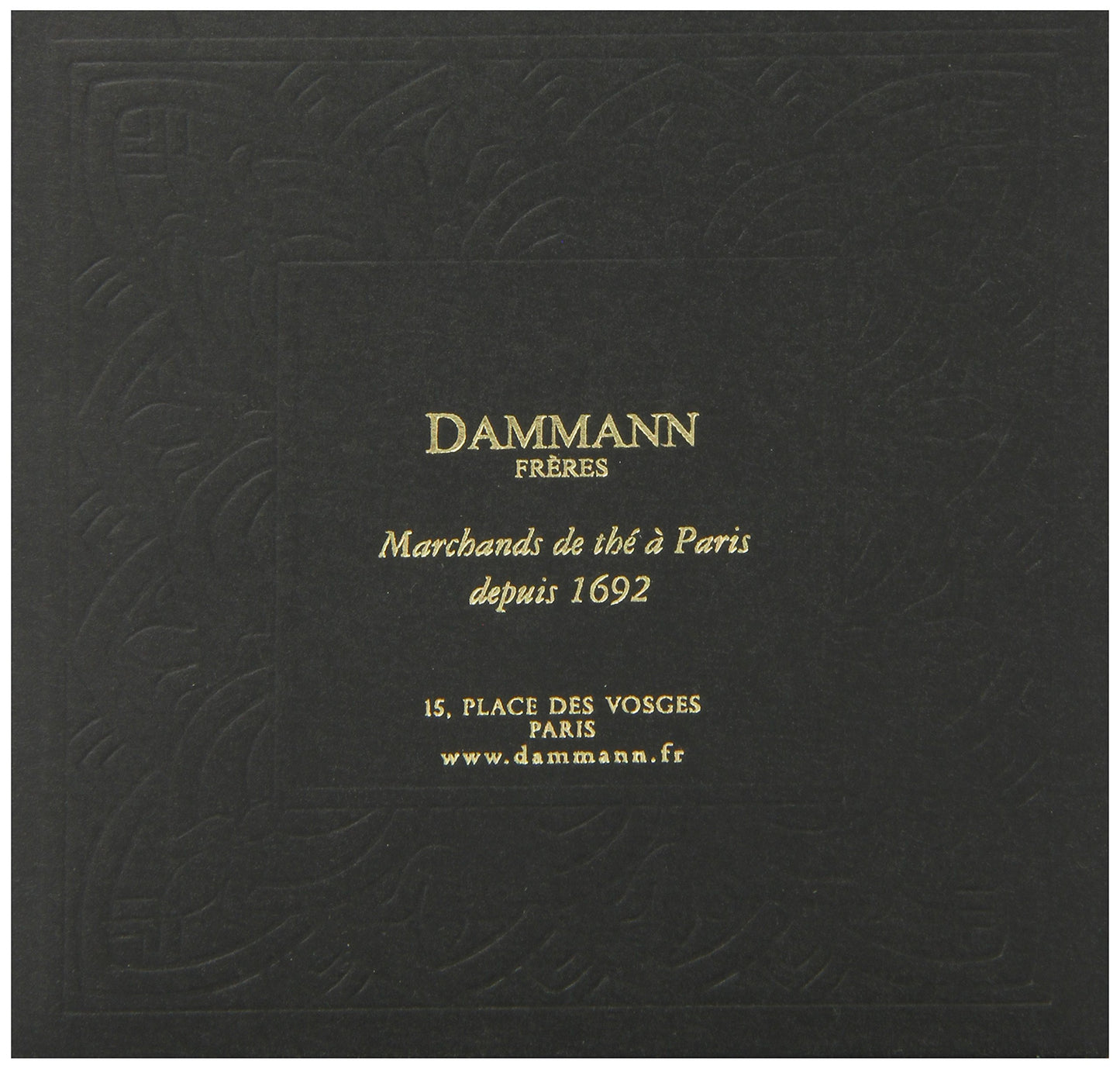 Dammann Freres Premium Gourmet French Jasmine Vert Au Green Tea Bags Sachets, 25 Count