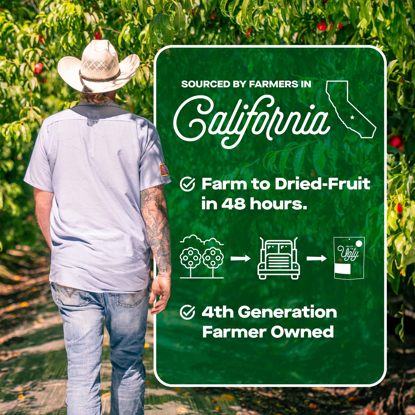 Dried & Sliced Peaches - Pack of 3 (3oz)