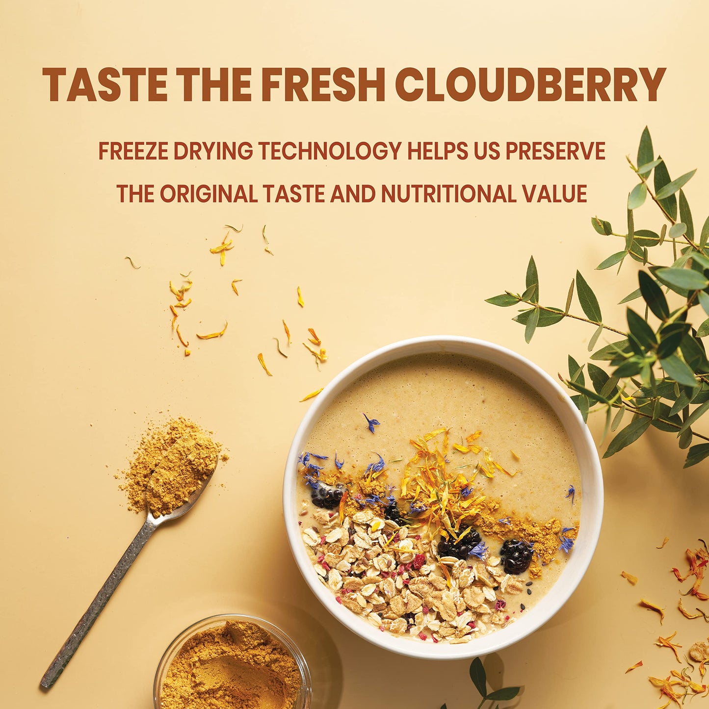 Jungle Powders Wild Cloudberry Powder for Smoothies Baking Jam 3.5 Ounce Bag Pure Nordic Freeze Dried Cloudberry Extract No Suga