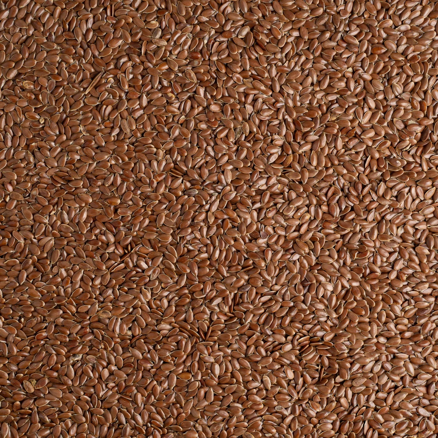 Top Seedz Certified Usda Organic Raw Brown Flax Seeds | Premium Fresh And Unsalted, Shell-Free Flax Seeds | Gluten-Free, Nut-Fre