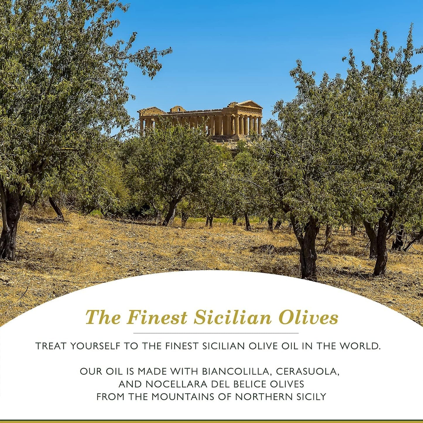 FRANTOIA Barbera Frantoia Sicilian Extra Virgin Olive Oil, 34-Ounce (33.8 Fl Oz) - Premium Quality, Rich Flavor, Ideal for Cooking and Dressings