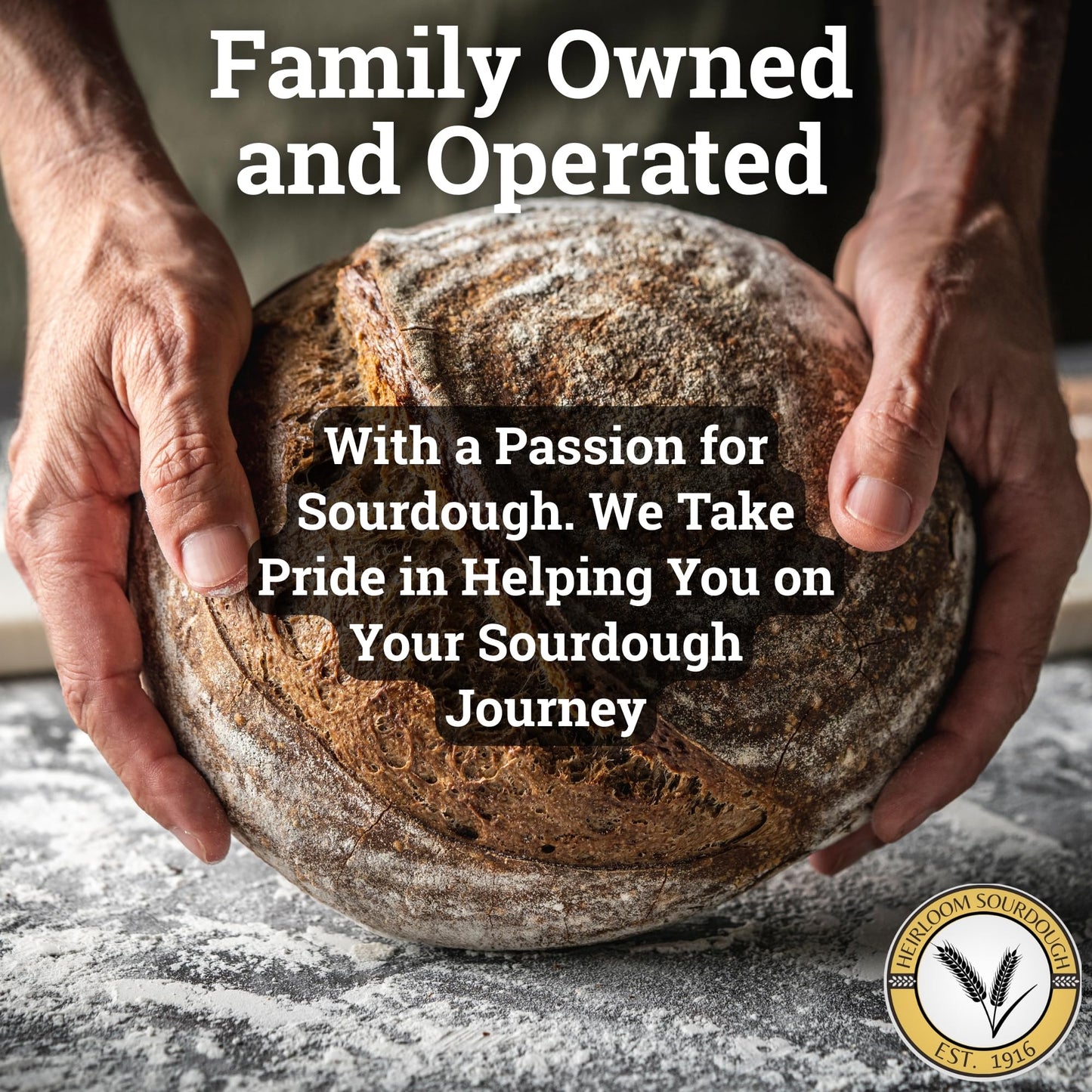 Generic 700 Year Old Swiss Sourdough Starter | 2 Ounce | Easy Instructions & Recipe Included
