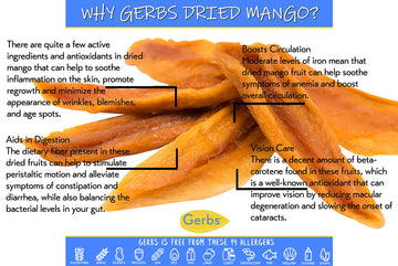GERBS Dried Mango Slices, Unsweetened, Gluten & Peanut Free, 4 LBS Resealable Bulk Bag