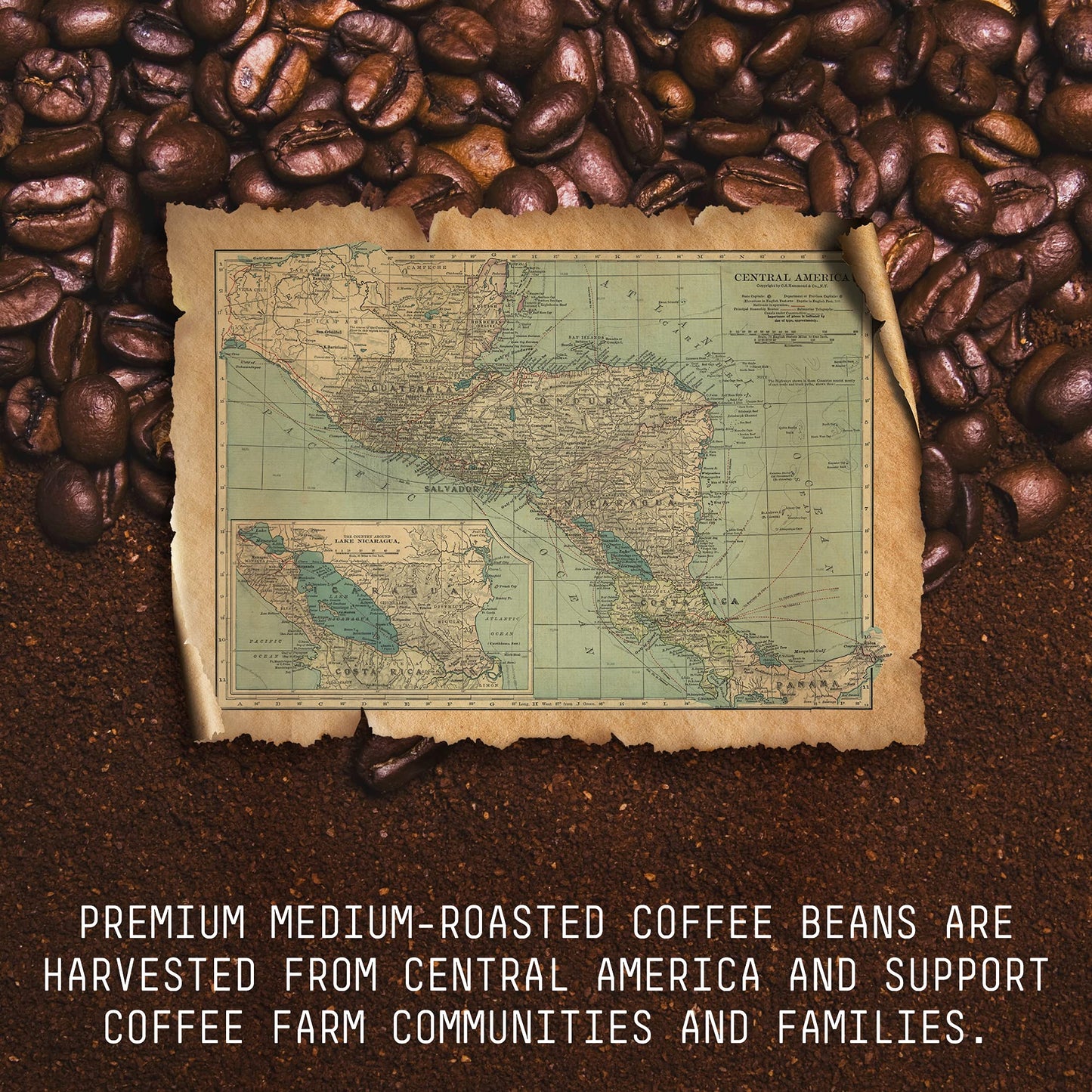 Stone Street Decaf Coffee Beans, Medium Roast, Swiss Water Process, Whole Bean, 1 LB