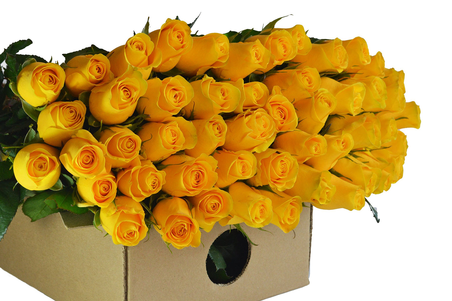 Blooms2Door Flowers - MotherS Day Collection - 50 Yellow Roses (Long Stem - 50Cm) - Wholesale Fresh Flowers I Gift For Birthday Anniversary Thank You Mothers Day Fresh Flowers.