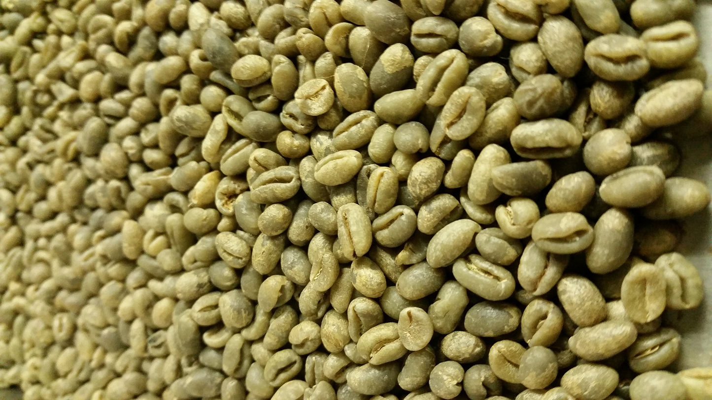 Lavanta Coffee Roasters Sumatra Peaberry, Green, 2Lb