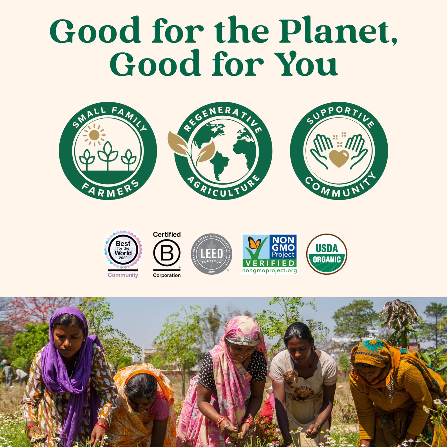 ORGANIC INDIA Ceylon Cinnamon compact pieces - Organic, Vegan, Gluten-Free, 60 Count - Model 0850021635367