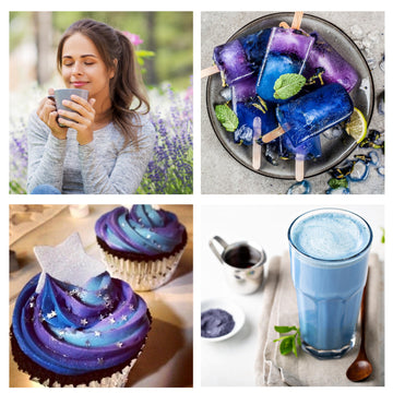 Wilderness Poets, Blue Butterfly Pea Flower Powder - Blue Matcha Tea (32 Ounce - 2 Pound)