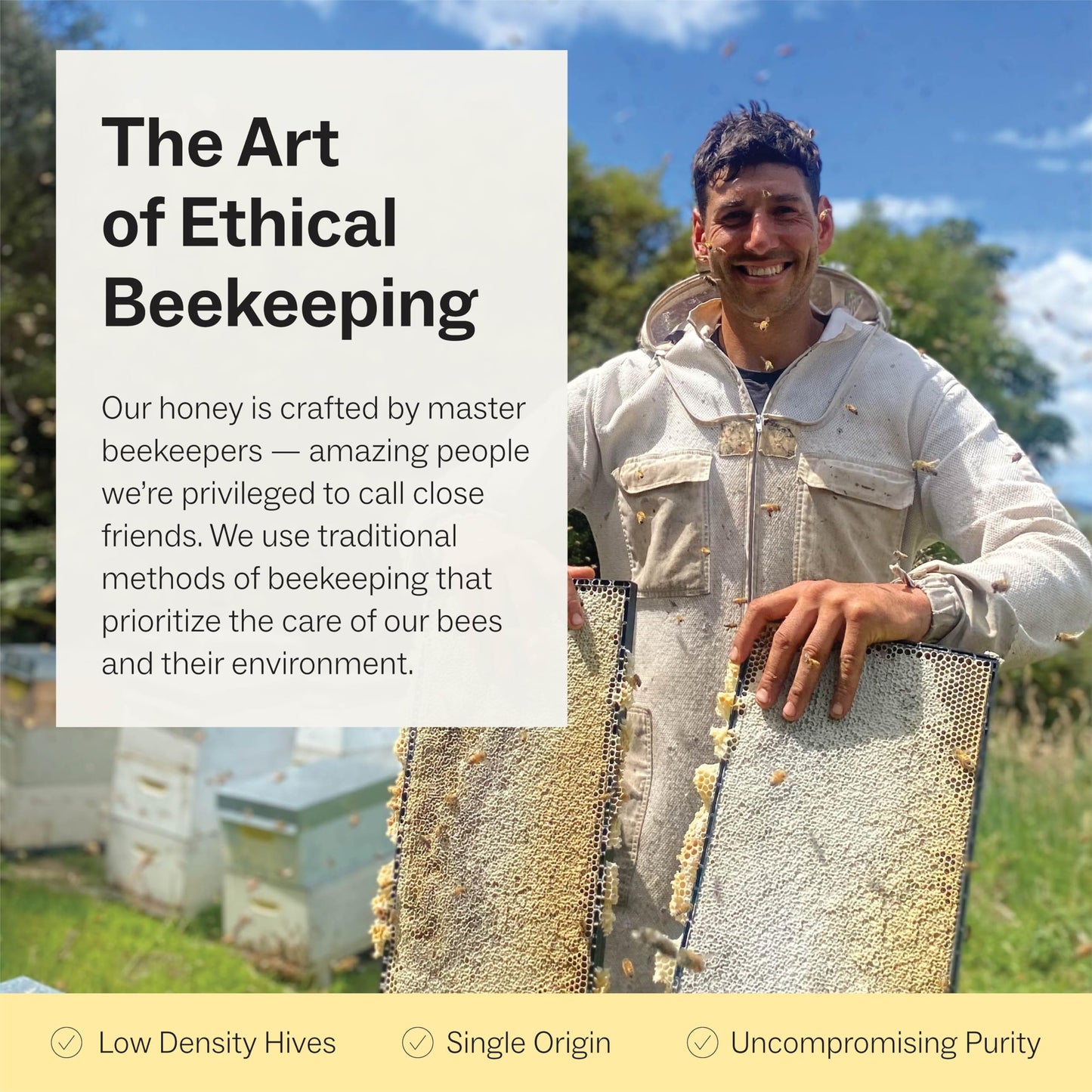 Manukora Raw Manuka Honey, Mgo 200+, New Zealand Honey, Non-Gmo, Traceable From Hive To Hand, Daily Wellness Support - 360G (12.