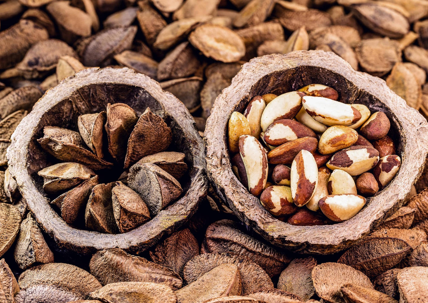 Food To Live - Dry Roasted Brazil Nuts With Himalayan Salt, 4 Pounds – Oven Roasted, Lightly Salted, No Oil Added, Whole. Vegan, Kosher, Bulk.