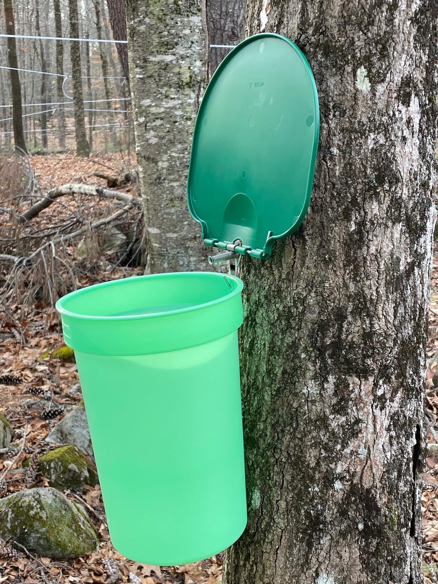 Liberty Supply Maple Syrup Kit - 3 Buckets, 3 Taps, Tapping Bit, 2 Filters, Guide to Sugaring - Green
