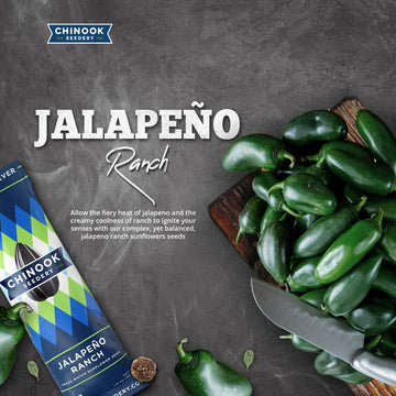 Chinook Seedery Roasted Sunflower Seeds To Eat - Jumbo Low Sodium Sunflower Seeds Keto Snacks - Adventure, Baseball, School Snacks - Gluten Free, Non Gmo Snacks - 1.5 Oz (Pack Of 36) Jalapeno Ranch