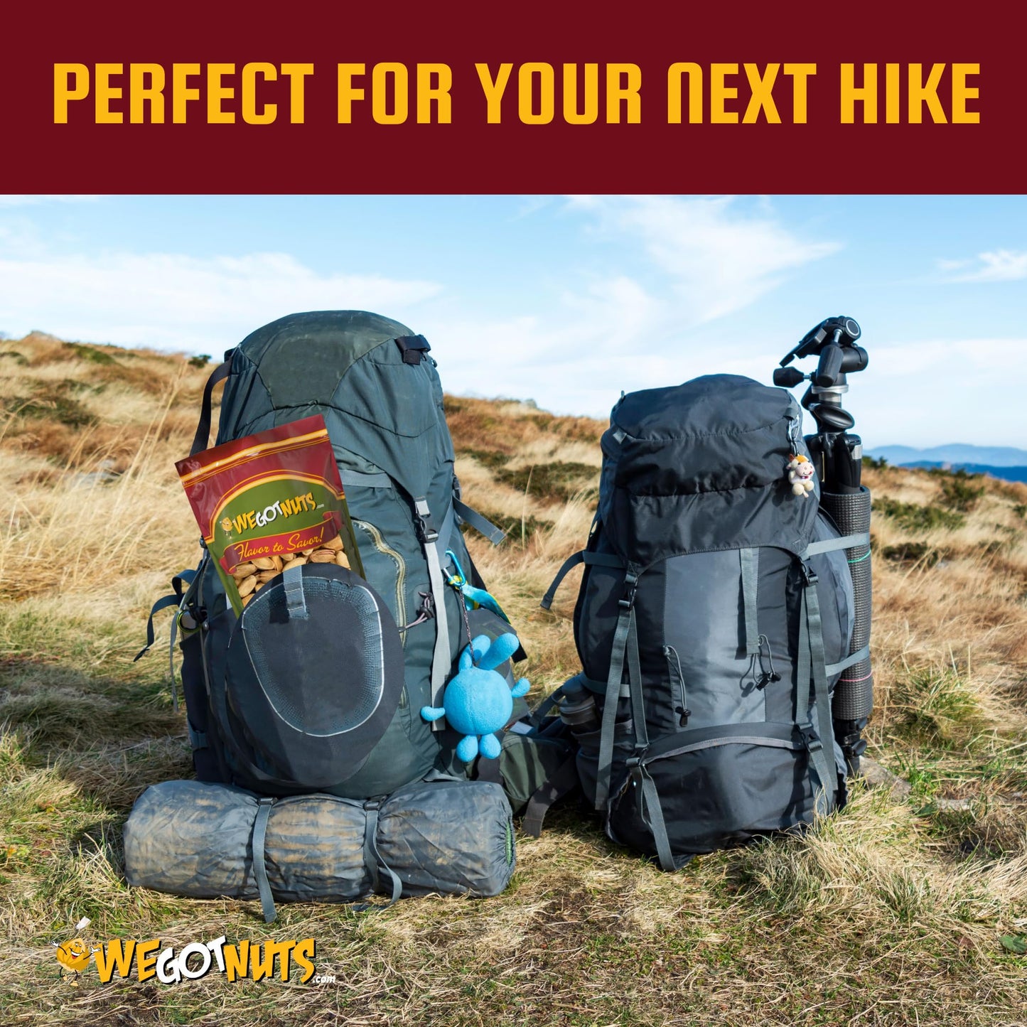 Turkish Pistachios Antep Roasted Salted, In Shell - We Got Nuts (1 Lb.)