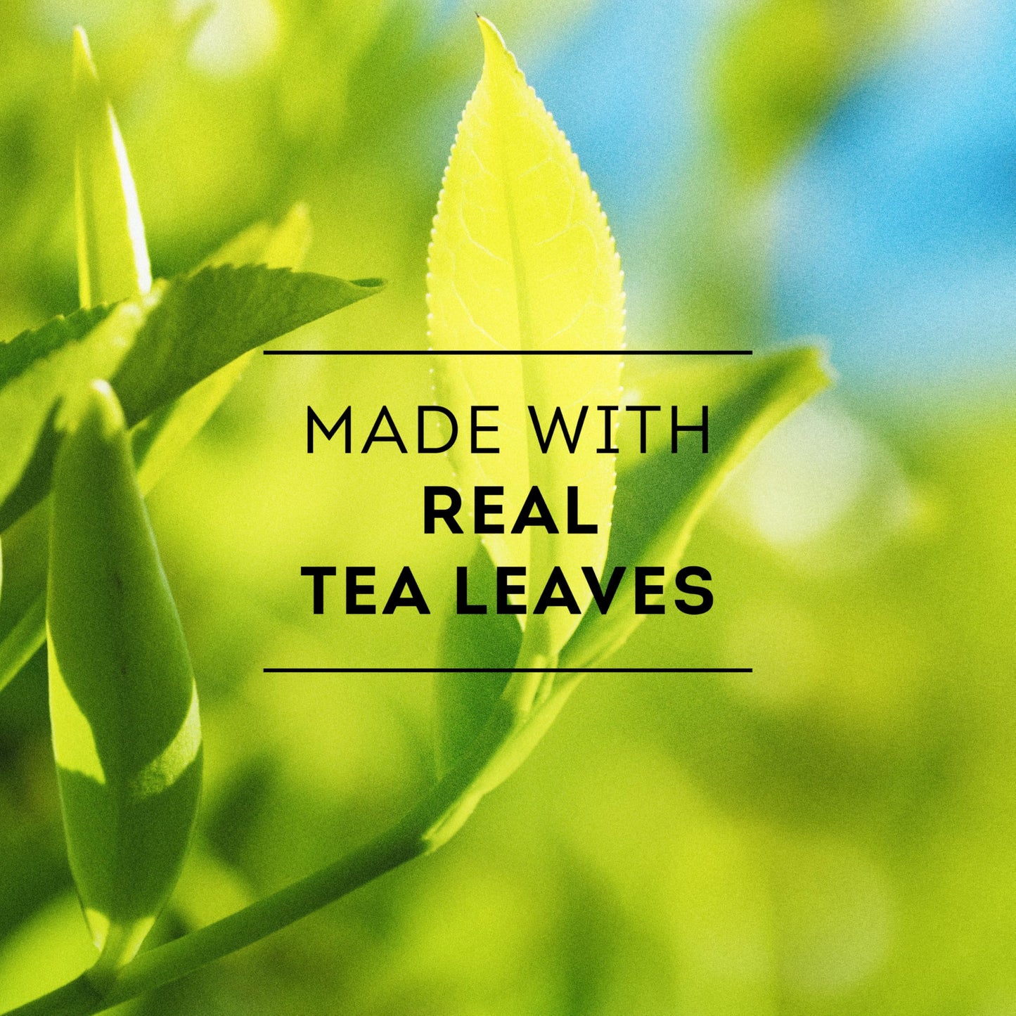 Lipton Iced Tea, 24 Count, Pack Of 4