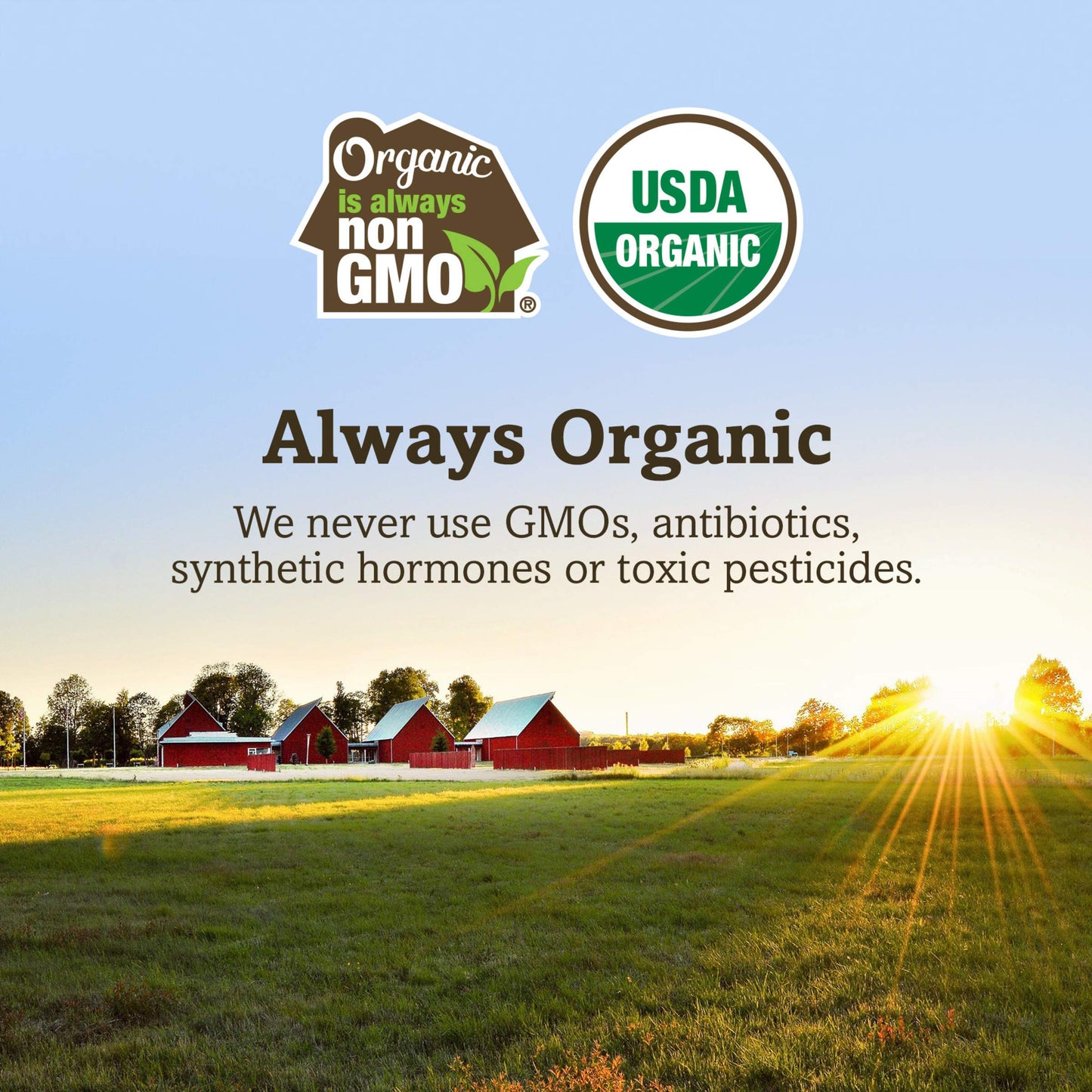 Og2 O.V. Smr Ssg Uncr Bf (10X6.00)