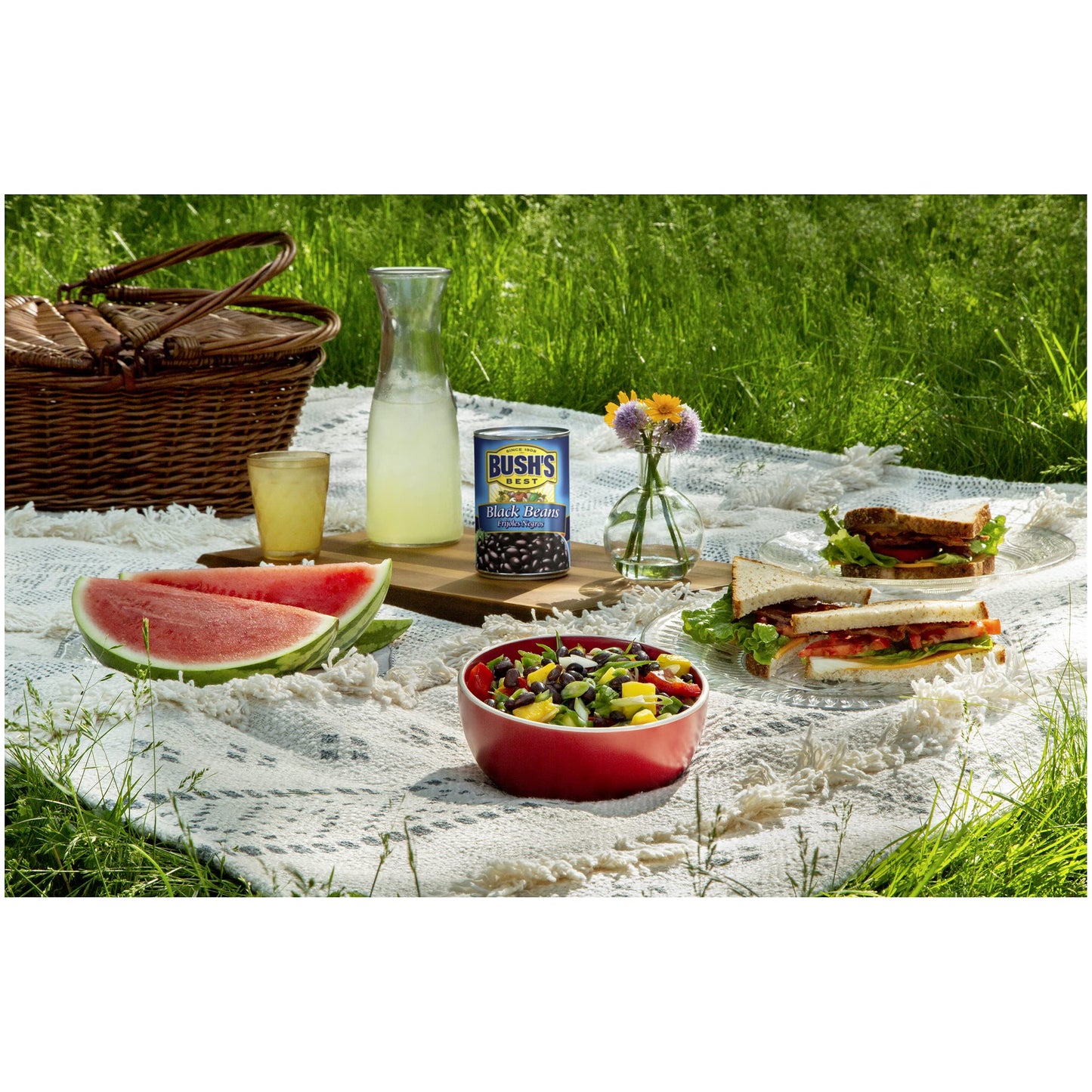 Bush'S Best 15 Oz Canned Black Beans, Source Of Plant Based Protein And Fiber, Low Fat, Gluten Free, (Pack Of 12)