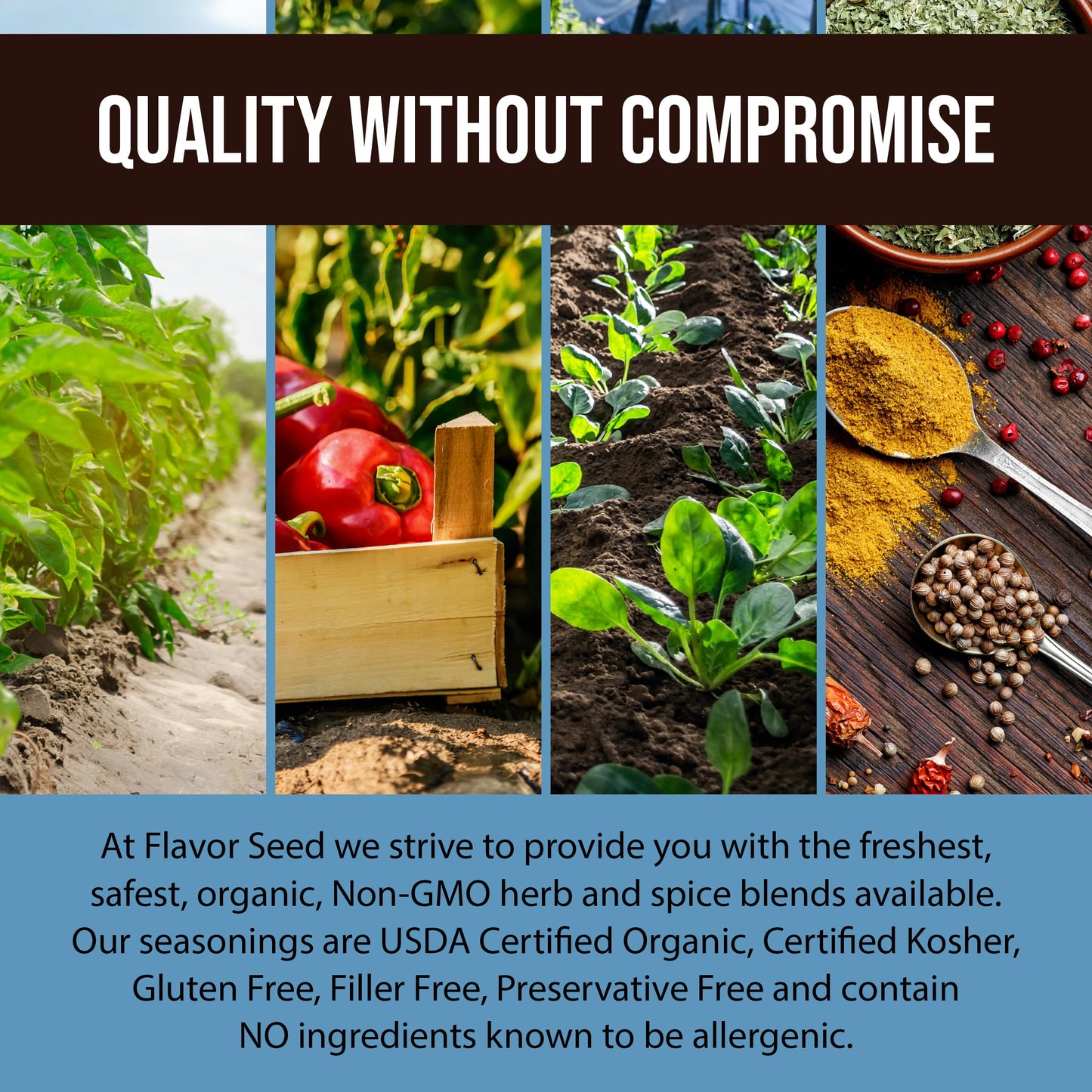 Flavor Seed Blackened Seasoning Boudreaux T'S, Organic Ingredients, Gluten Free Cajun Blackening Seasoning For Meat And Seafood,