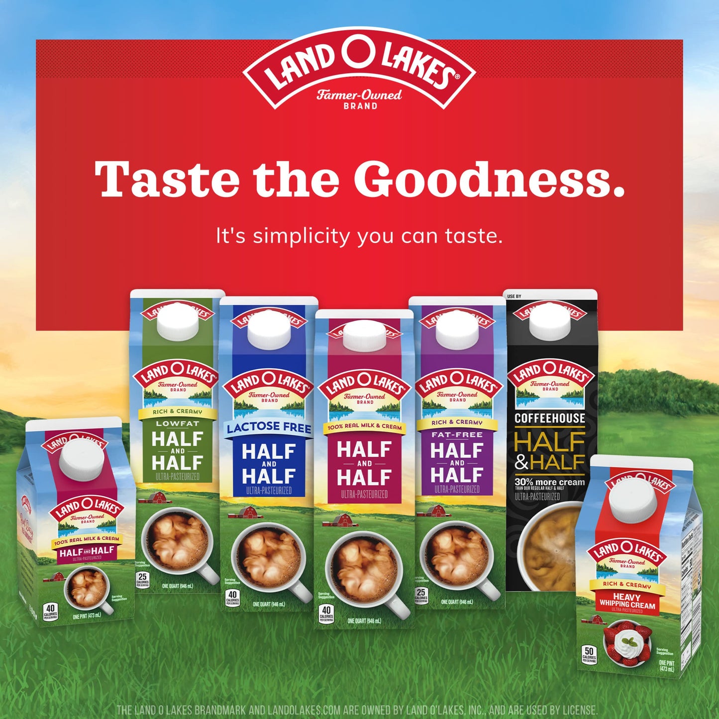 Land O' Lakes Mini Moo’S Half & Half Creamer Singles, Shelf-Stable, 48 Count (Pack Of 4)