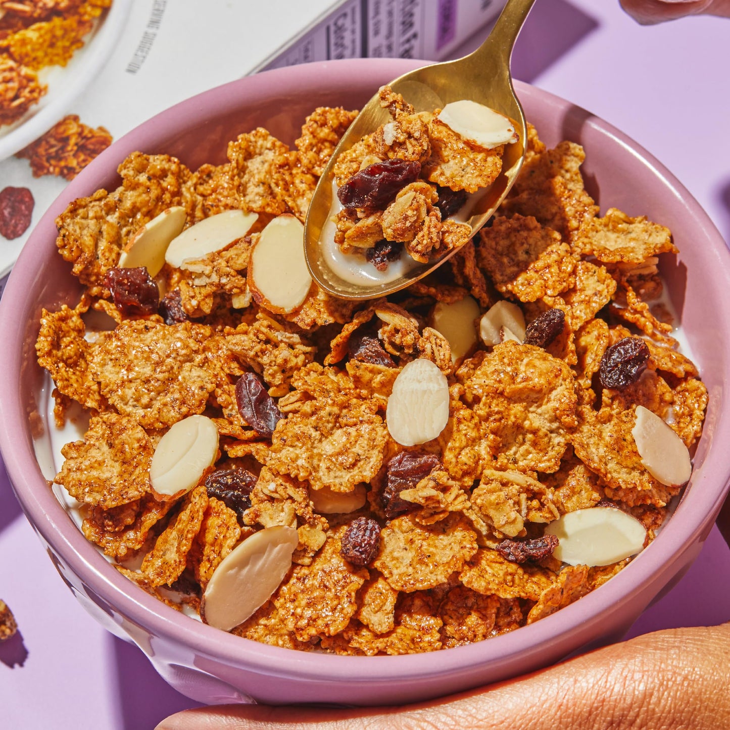 Purely Elizabeth Oatmeal Raisin Cereal, 11 Oz