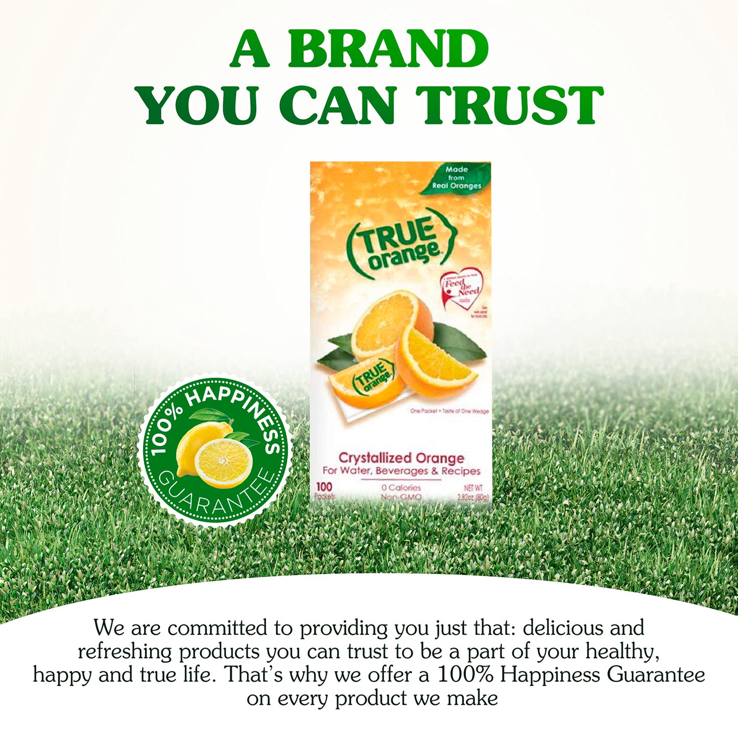 TRUE ORANGE Water Enhancer, Bulk Pack, Zero Calorie Flavoring, For Bottled Water, Iced Tea & Recipes, Flavor Packets Made with R