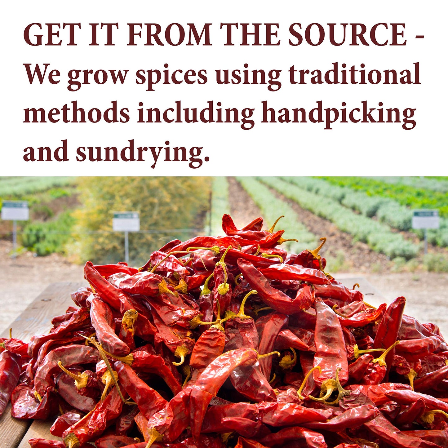 The Spice Way Harissa Seasoning - A Spicy Hot Spice Blend To Create Paste And Sauce (Tunisian Spice Blend), Harissa Powder 2 Oz