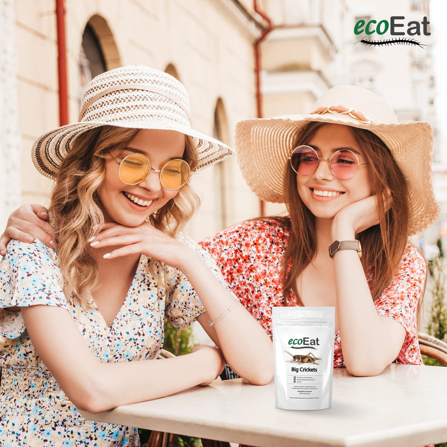Ecoeat Edible Insects Big Black Crickets To Eat – Edible Bugs Edible Dehydrated Crickets - Snack Food Gifts (15G)