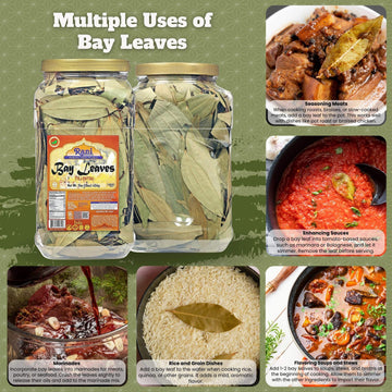 Rani Bay Leaf (Leaves) Whole Spice Hand Selected Extra Large 16Oz (1Lb) 454G Bulk Pet Jar ~ All Natural | Gluten Friendly | Non-Gmo | Kosher | Vegan | Indian Origin (Tej Patta)