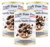 Straight From France Genuinely French French Helix Pomatia Wild Burgundy Canned Escargots Snails 4 Dozen (Pack Of 3)