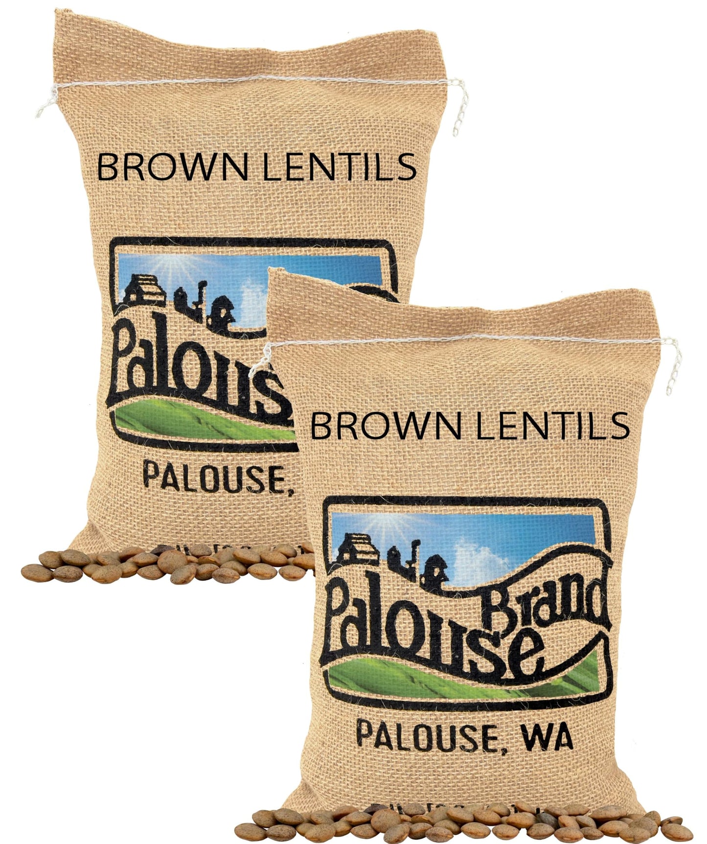 Palouse Brand Certified Glyphosate Residue Free Brown Lentils | 10 LBS | Desiccant Free | Sproutable | Non-GMO Project Verified