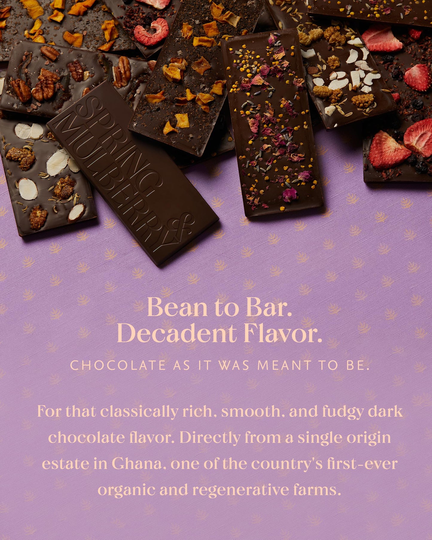 Spring & Mulberry Date-Sweetened Chocolate - 10-Bar Pack, Flavors With Fruits, Nuts, Spices & Essential Oils For The Perfect Tre
