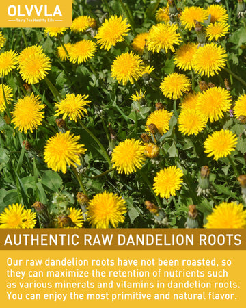 Olvvla Dandelion Root Tea Bags - Caffeine-Free, Non-GMO - 80 Count Pack