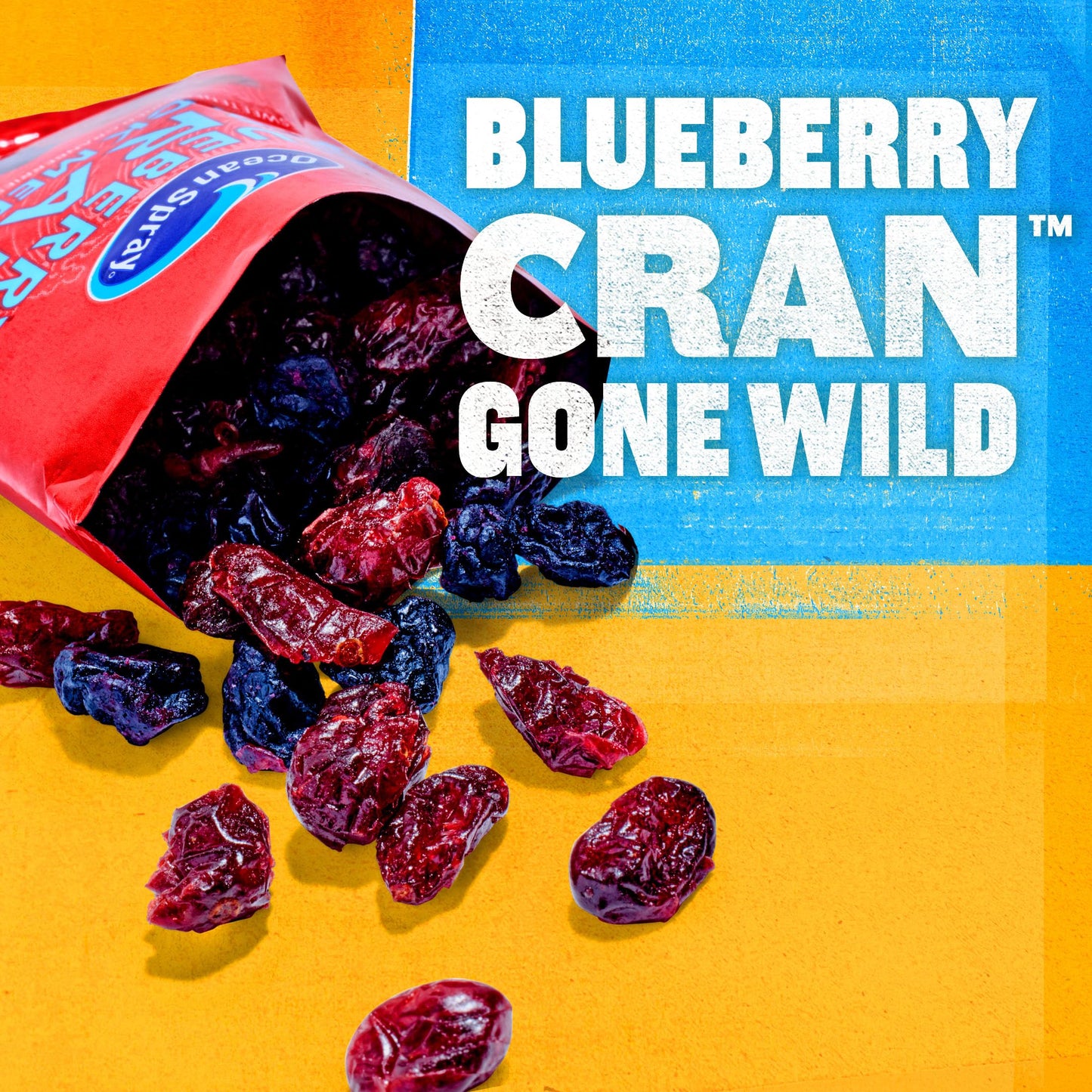 Ocean Spray Blueberry Cran Snack Medley, Cranberry And Blueberry Dried Fruit Snack, 1 Oz Pouches, 5 Count (Pack Of 10)